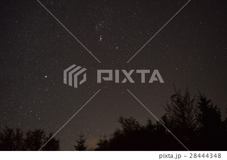 全国育樹祭記念広場　星空 28444348