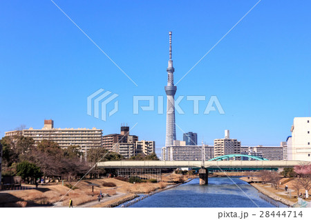 ふれあい橋（旧中川）から眺める東京スカイツリー 28444714