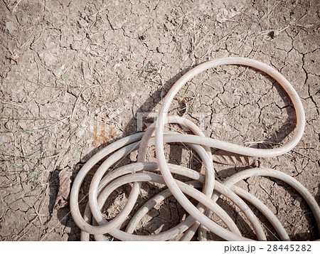 Dried garden hose pipe, no water, climate change Dried garden hose pipe, no water, climate change 28445282