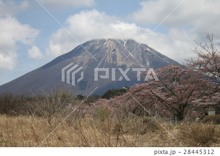 大山と桜 28445312
