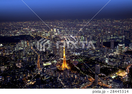 東京タワー周辺夜景/空撮 東京タワー周辺夜景/空撮 28445314