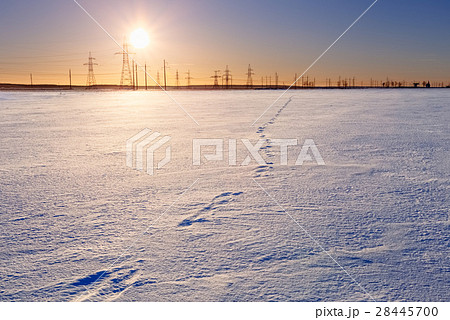Winter field covered with snow smooth 28445700