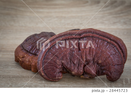 Ganoderma Lucidum Mushroom on wood background 28445723