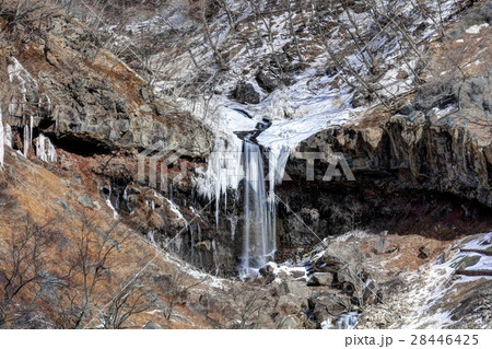 冬の般若の滝 冬の般若の滝 28446425