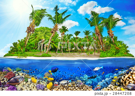 Island in Ocean and beautiful underwater world. 28447208