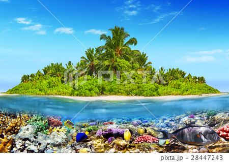 Island in Ocean and beautiful underwater world. Island in Ocean and beautiful underwater world. 28447243