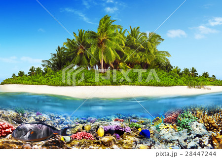 Island in Ocean and beautiful underwater world. Island in Ocean and beautiful underwater world. 28447244