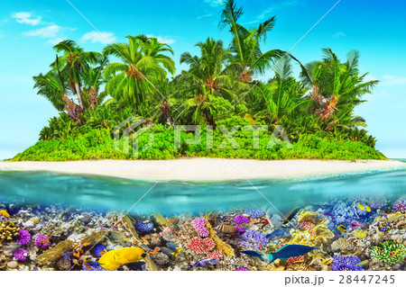 Island in Ocean and beautiful underwater world. Island in Ocean and beautiful underwater world. 28447245
