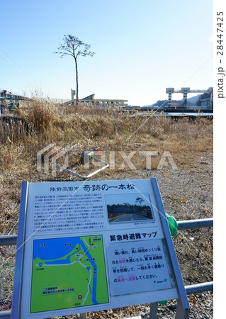 被災地の今 奇跡の一本松 陸前高田 被災地の今 奇跡の一本松 陸前高田 28447425
