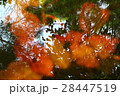 赤色 赤 赤い 28447519