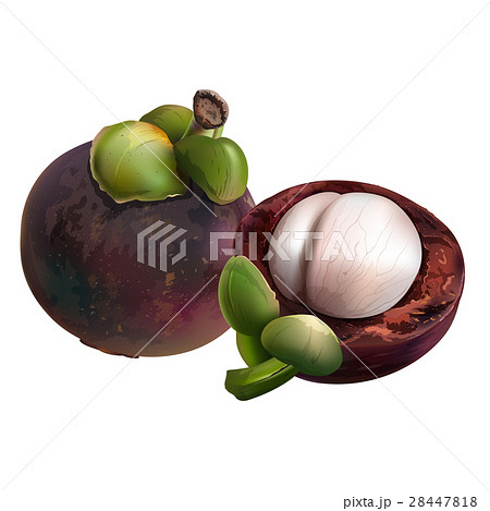 Mangosteen on white background 28447818