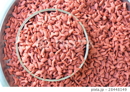 cat food in stainless bowl on weighing scale tray cat food in stainless bowl on weighing scale tray 28448149