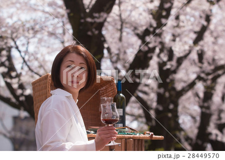桜と中年女性とワイングラス 桜と中年女性とワイングラス 28449570