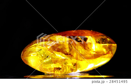 琥珀 28451495