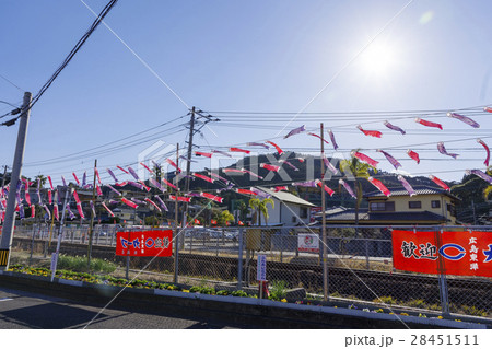 広島東洋カープ キャンプ地、宮崎・日南の天福球場そばの線路沿いに掲げられた鯉のぼり 広島東洋カープ キャンプ地、宮崎・日南の天福球場そばの線路沿いに掲げられた鯉のぼり 28451511