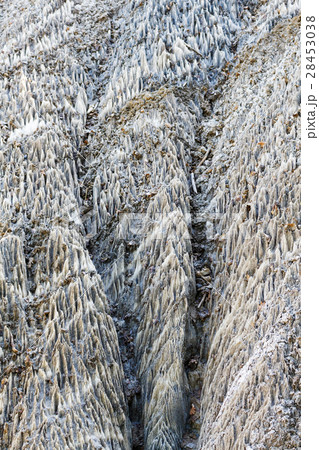 Abstract texture forms in a salt wall 28453038