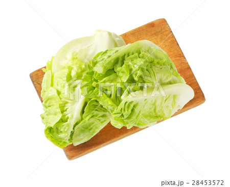 Little gem lettuce Little gem lettuce 28453572