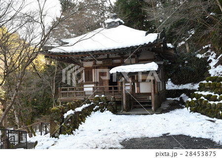 羅漢 羅漢 28453875