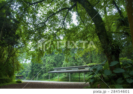 池溏 林 森 28454601