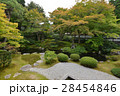 初秋の泉涌寺、御座所庭園 28454846