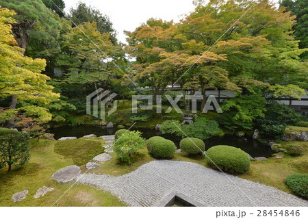 初秋の泉涌寺、御座所庭園 28454846