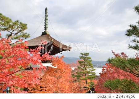 秋の常寂光寺、多宝塔 秋の常寂光寺、多宝塔 28454850