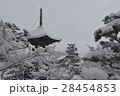 雪の常寂光寺、多宝塔 28454853