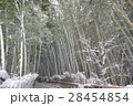 雪の嵐山、竹林の小径 28454854