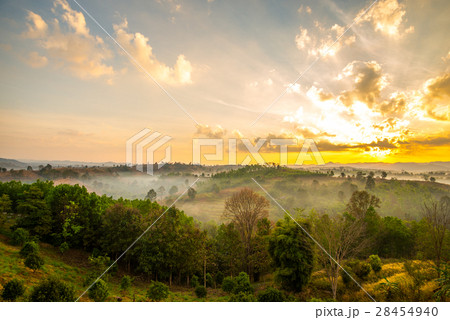 amazing of light 7 amazing of light 7 28454940