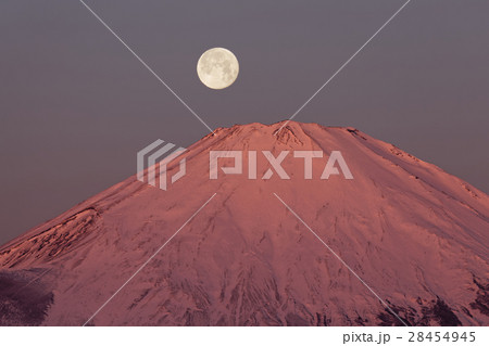 箱根・矢倉岳から見る朝焼けの富士山と満月 28454945