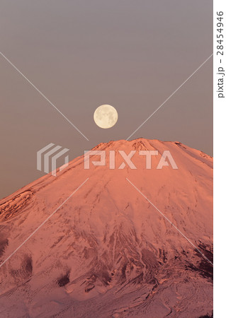 箱根・矢倉岳から見る朝焼けの富士山と満月 箱根・矢倉岳から見る朝焼けの富士山と満月 28454946