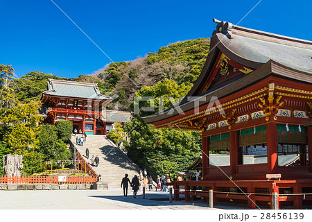鎌倉 鶴岡八幡宮 本宮と舞殿 鎌倉 鶴岡八幡宮 本宮と舞殿 28456139