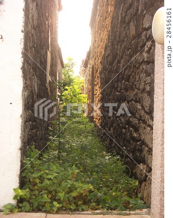 横町 路地 レーン 28456161