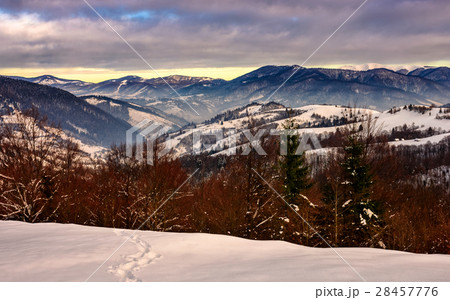 sunrise in winter mountains 28457776
