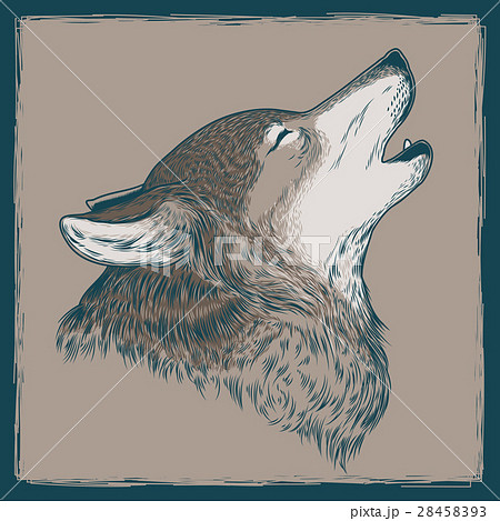 Illustration Of A Howling Wolfのイラスト素材