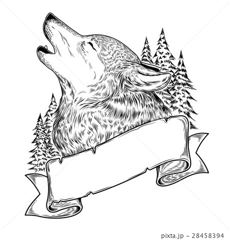 Illustration Of A Howling Wolf With Ribbonのイラスト素材