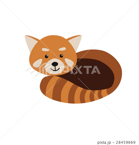 Red Panda isolated on white background Red Panda isolated on white background 28459669
