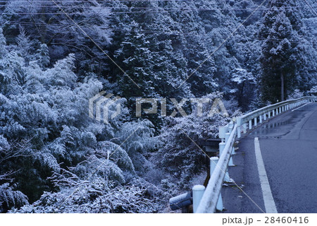 雪の神山 28460416