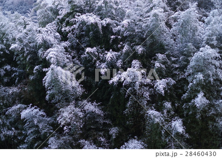 雪の神山 雪の神山 28460430
