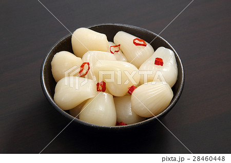 らっきょう らっきょう 28460448