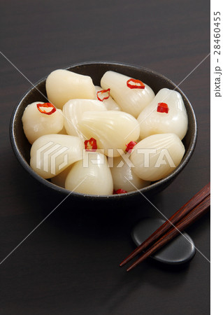 らっきょう 28460455