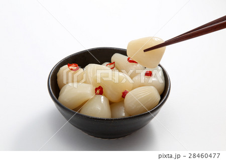 らっきょう らっきょう 28460477