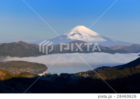 大観山 28460626