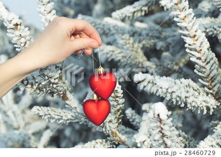 Hand holding two hearts outdoor over snowy pine Hand holding two hearts outdoor over snowy pine 28460729