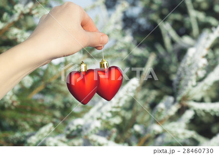 Hand holding two hearts outdoor over snowy pine  28460730