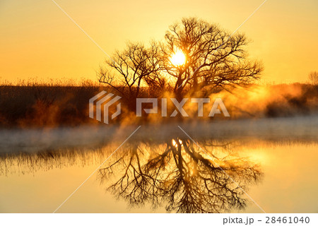 渡良瀬遊水地 28461040