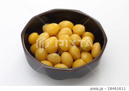 銀杏 28461611