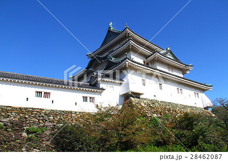 晴天の和歌山城天守と天守曲輪 28462087