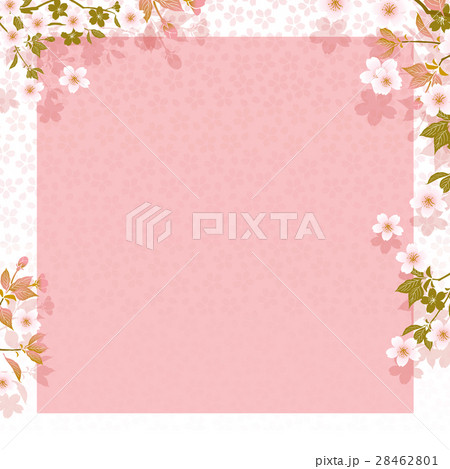 さくら背景素材のイラスト素材