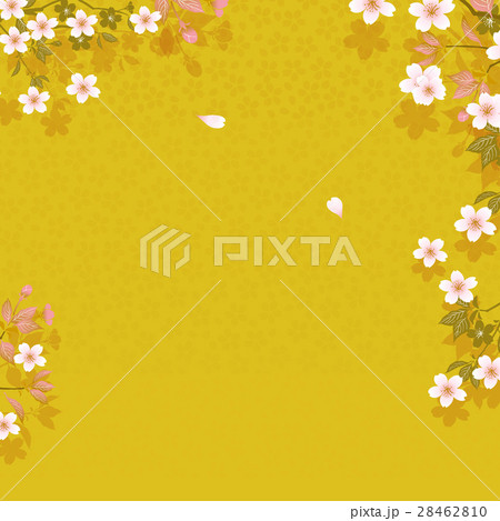 さくら背景素材 さくら背景素材 28462810